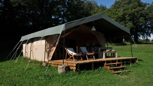 Les Ânes de Forcalquier - Tentes Safari Lodge insolites au cœur d'un bois avec piscine et activités avec des ânes