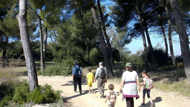 A la découverte du loup - 1/2 journée