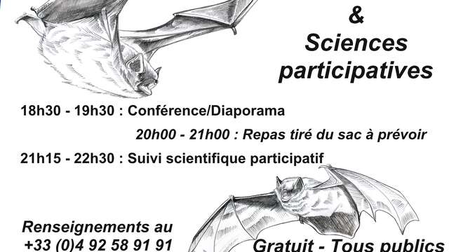 Sortie Natura 2000 "À la découverte des chauves-souris !"