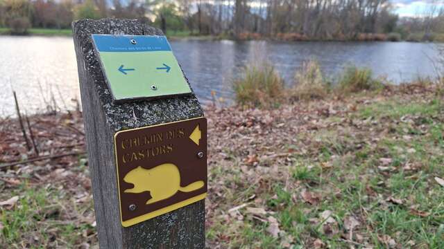 Chemin des castors