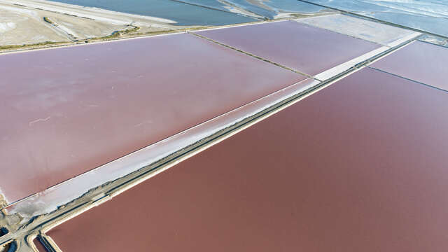 Vélo en liberté dans le salin