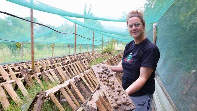 L'escargot du Ventoux