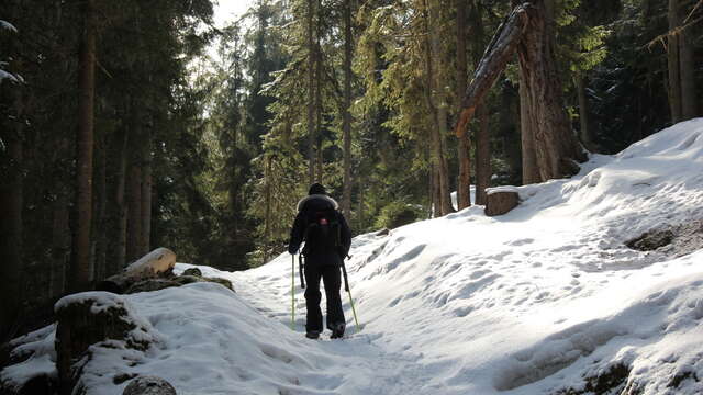 Bisse des Ravines