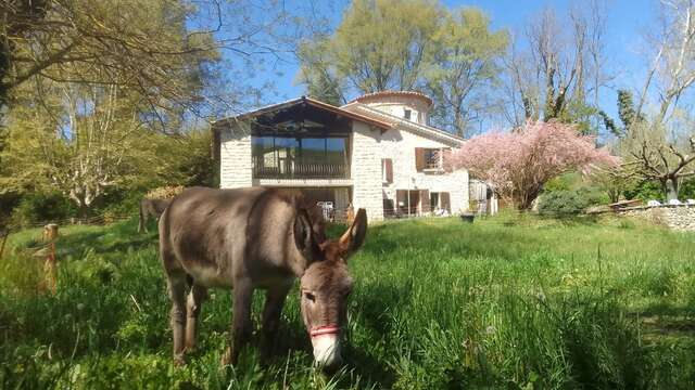 Les Favouilles - Gîte Rural