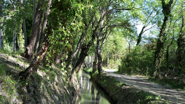 Entre ombres et lumières