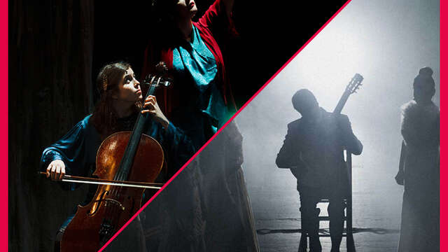 Les Suds - Concert : Birds On A Wire - Yerai Cortés