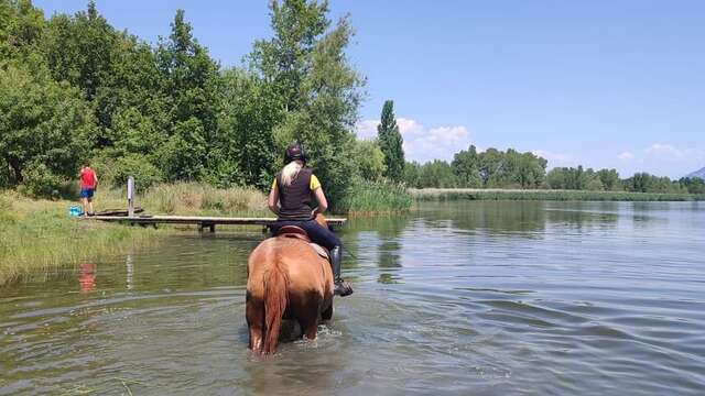 Balade journée à cheval au lac de Mison