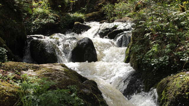 Ruisseau de l'Ambène
