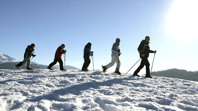 Sortie raquettes "Au Mont du Villard"