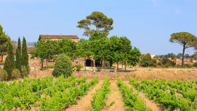Visites gourmandes du Château de Cabran
