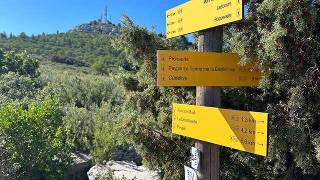 Le Mont du Marseillais