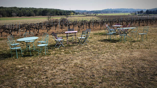Le vignoble aixois, le vignoble des bastides - La plaine de la Touloubre