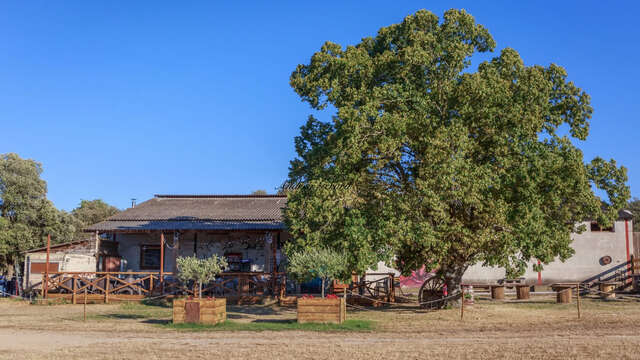 La Bodega de Margaux