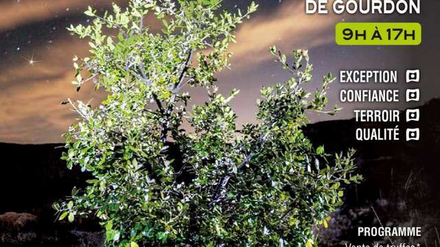 Marché de la Truffe de Gourdon