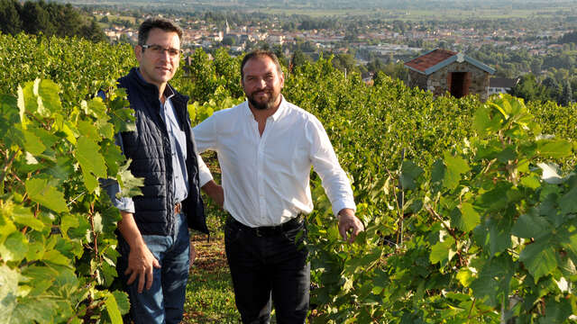 Domaine Désormière - Eric et Thierry Désormière