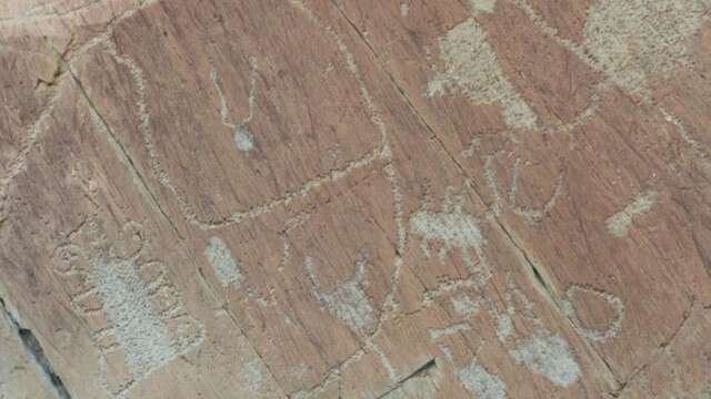 Escursione con visita guidata alle incisioni rupestri delle valli Merveilles e Fontanalba, avvicinamento motorizzato, Luc Fioretti