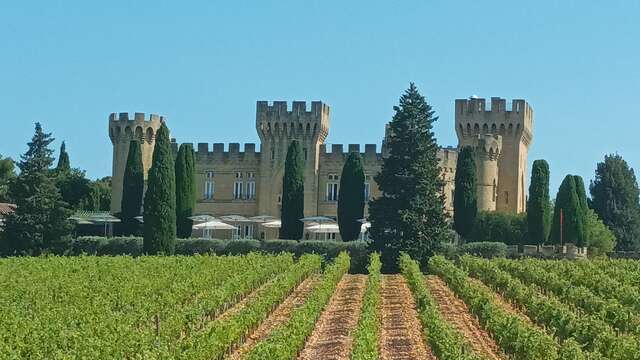 Châteauneuf du pape, son célèbre vignoble et ses illustres personnages : Balade accompagnée à vélo