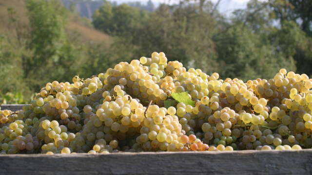 Domaine saint-andré