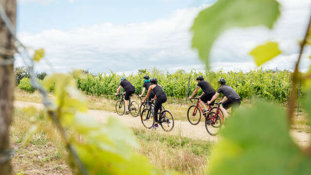 Circuit Gravel - Angers,  escapade au cœur du vignoble