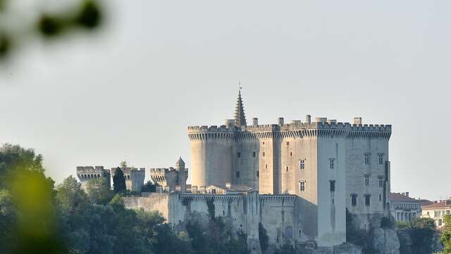 Excursion à Tarascon : Une vie de Château