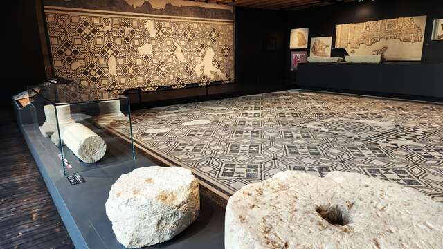 Musée d'Archéologie Tricastine