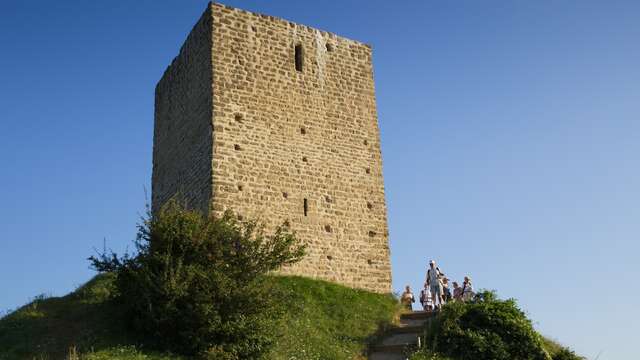 Tour d'Albon