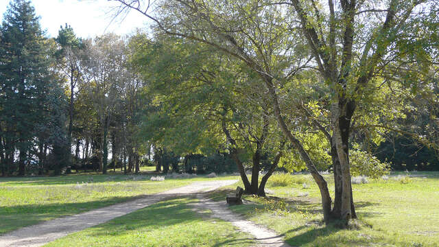 Circuit forestier du Parc de Vaugrenier