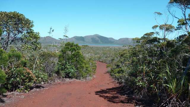 Trail 9 - Plain of Lakes to Netcha Loops Trail