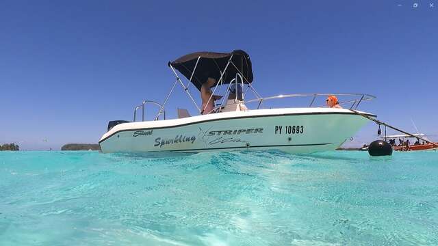 Aimeho fa'ati - Private boat tours - Whale watching tour
