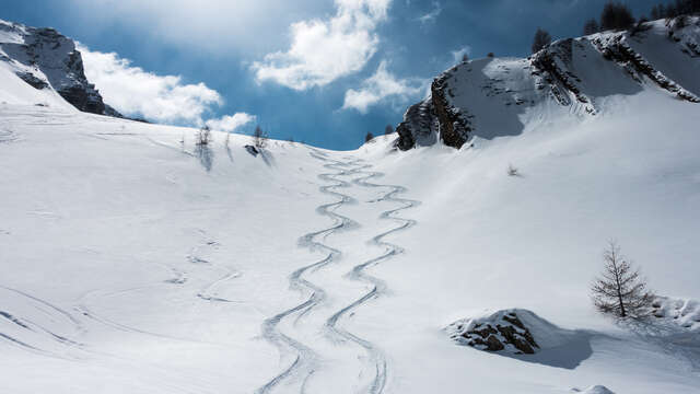 Ski de randonnée - Ski hors piste - Free Rando autour de Briançon  - Bureau Montagne Briançon