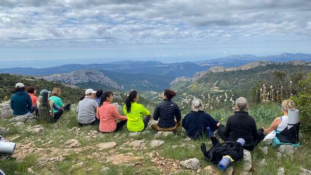 Rando Yoga Ashtanga au-dessus d'Auriol - 1/2 journée
