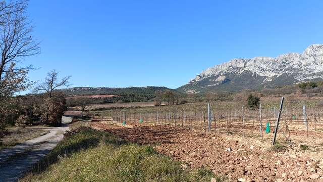 Le sentier des vignerons de Puyloubier