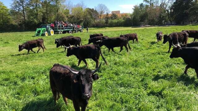Le réveil du Gardian