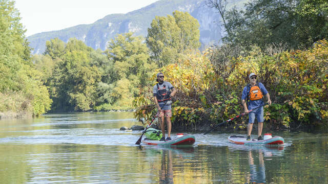 Sortie encadrée en stand-up paddle sur le Rhône sauvage