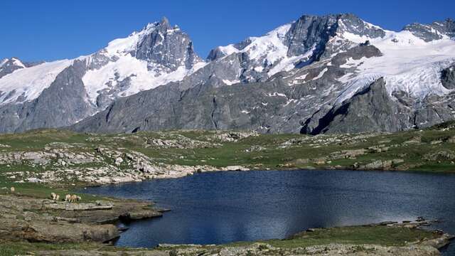 Les montagnes de notre littérature – Festival "Lire les Montagnes"