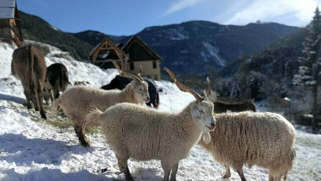 Le salon à la ferme - La Ferme des Moulins