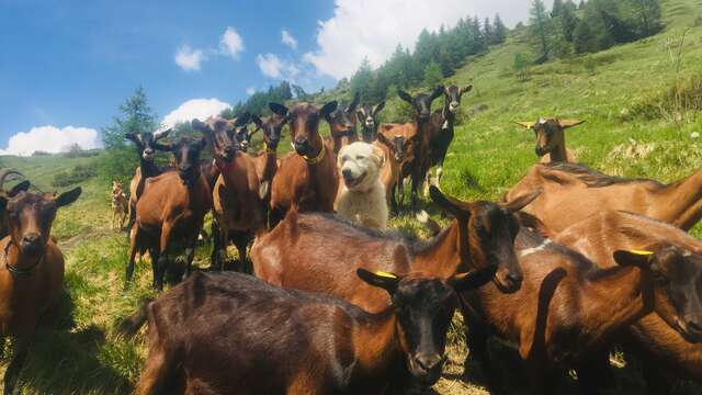 La Ferme de Mlle Clémence