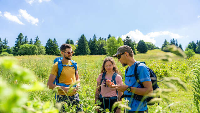 Randonnée flore de montagne et tourbière des Creusates