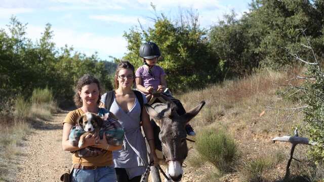 Balades Découverte des ânes
