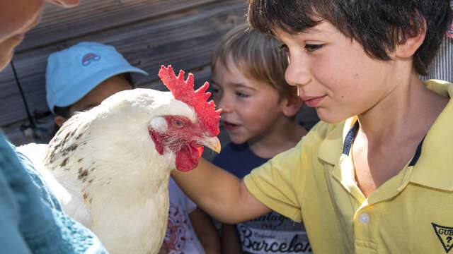 La Ferme du Coq à l'Âne