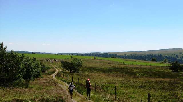 Réserve Naturelle Régionale des Jasseries de Colleigne