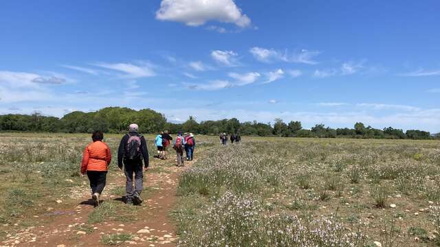 Balade dans les Coussouls de Crau