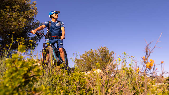 Provence Bike Tour