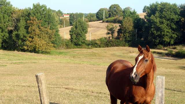 Sentier Les trois chapelles