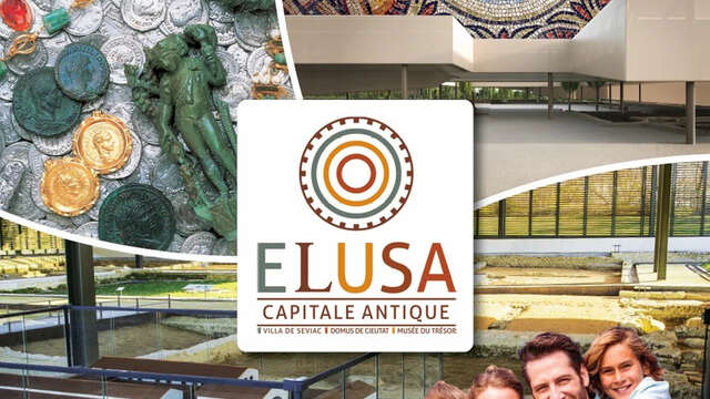 Elusa Capitale Antique