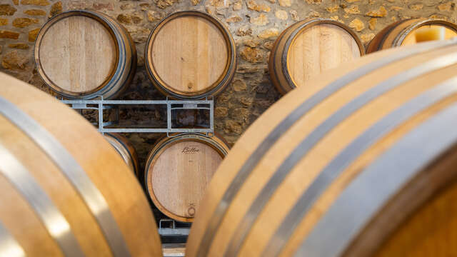 Visite guidée & dégustation au Domaine Château Vert : plongez au cœur de la création d’un vin de Provence