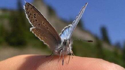 Randonnée pour découvir la vie de la montagne