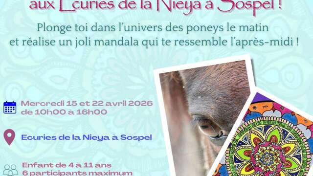 Pony morning and recreational afternoon