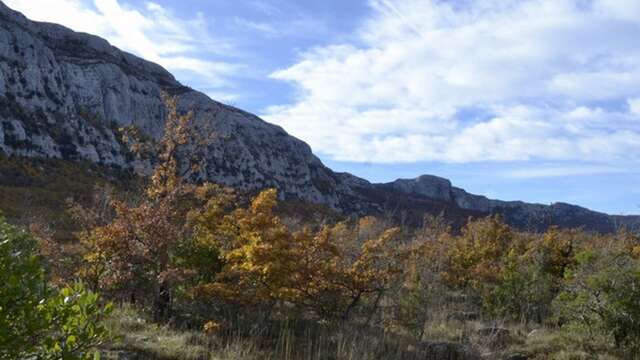 PLAN D'AUPS SAINTE-BAUME - Du sentier Merveilleux à l'oratoire de Miette