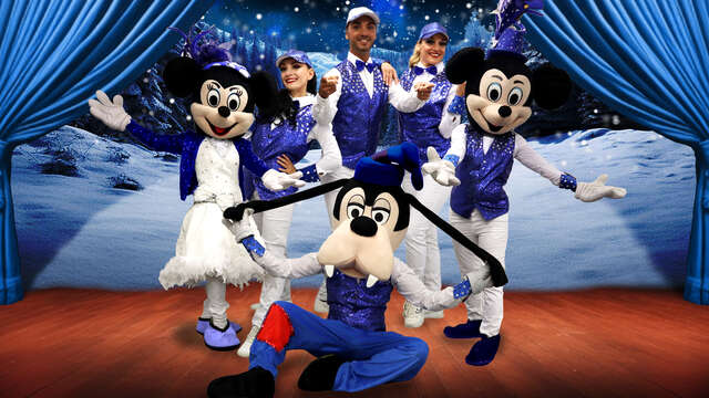 Special Disney sound and light show by Cie Revue Bellissima